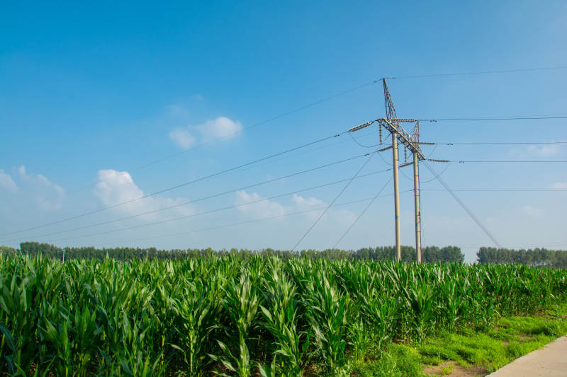田野电线杆图片