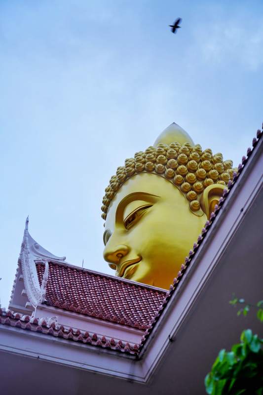 佛首仰望蓝天图片