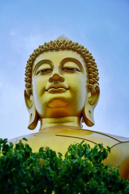金色佛像仰望蓝天图片