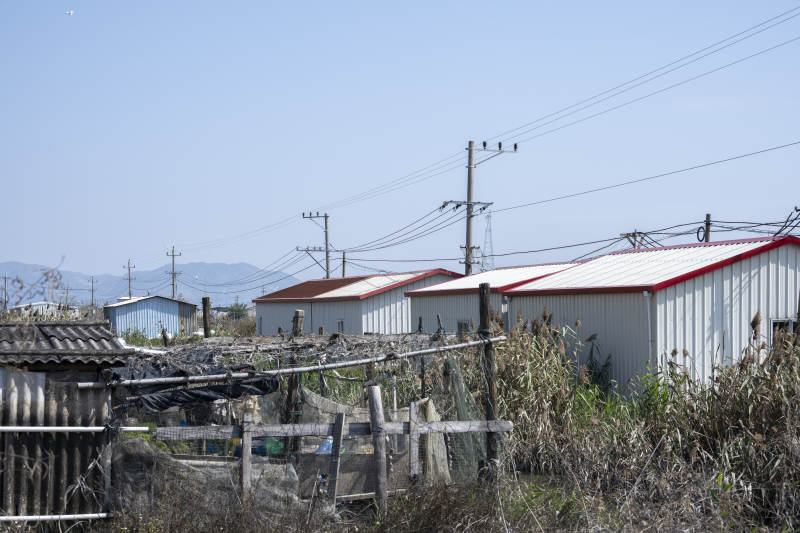 乡村小屋与电线杆图片