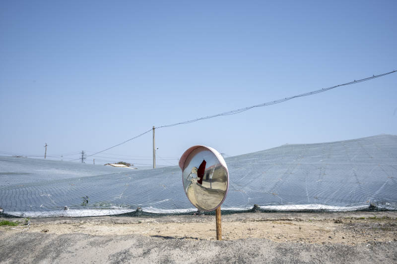 镜中倒影田园风光图片