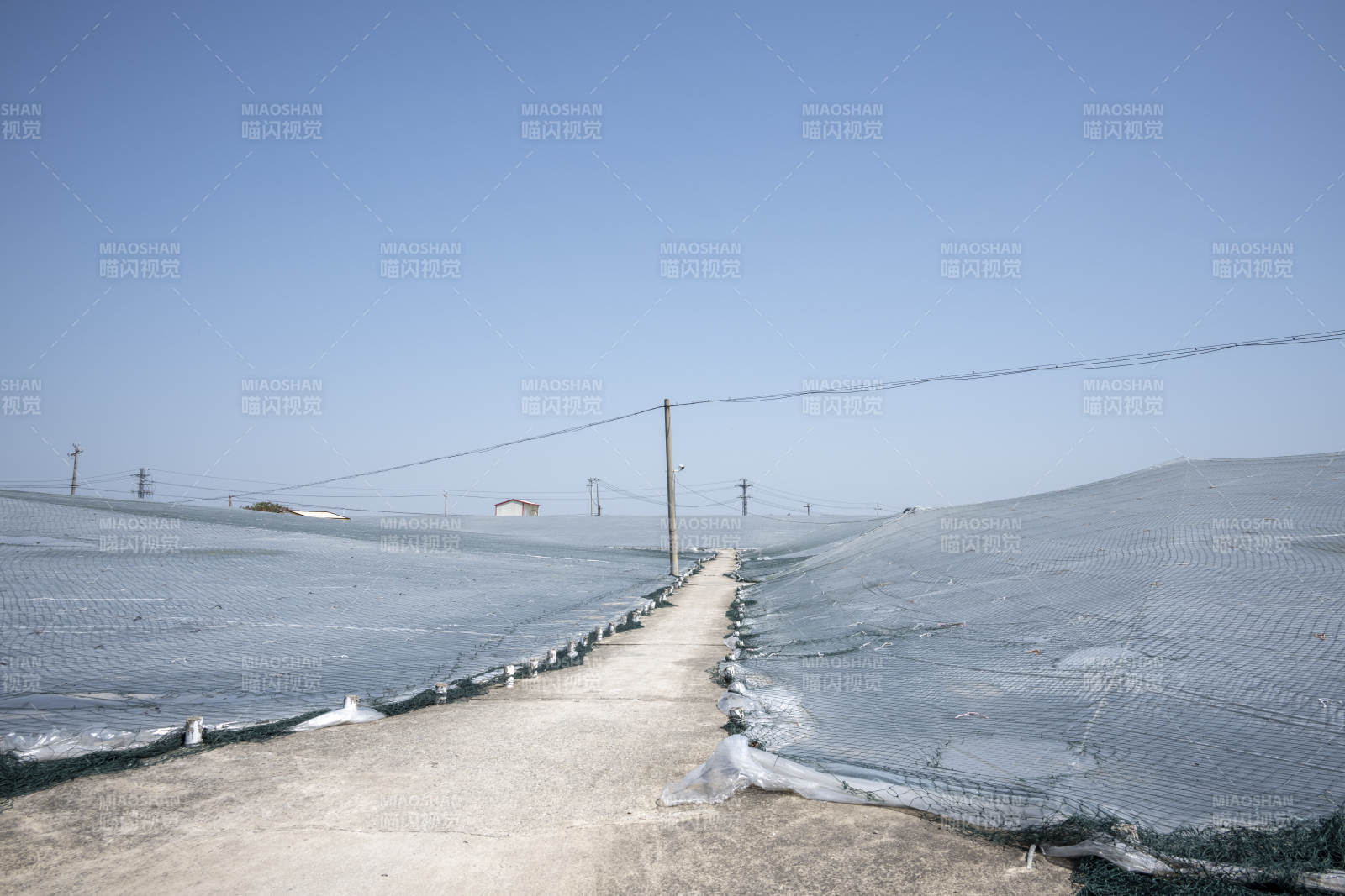 雪地中的长路图片