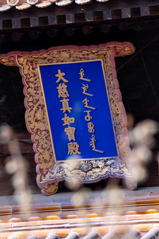 大慈真如宝殿图片