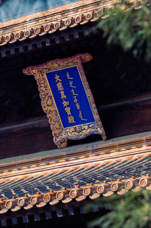 大慈真如宝殿图片