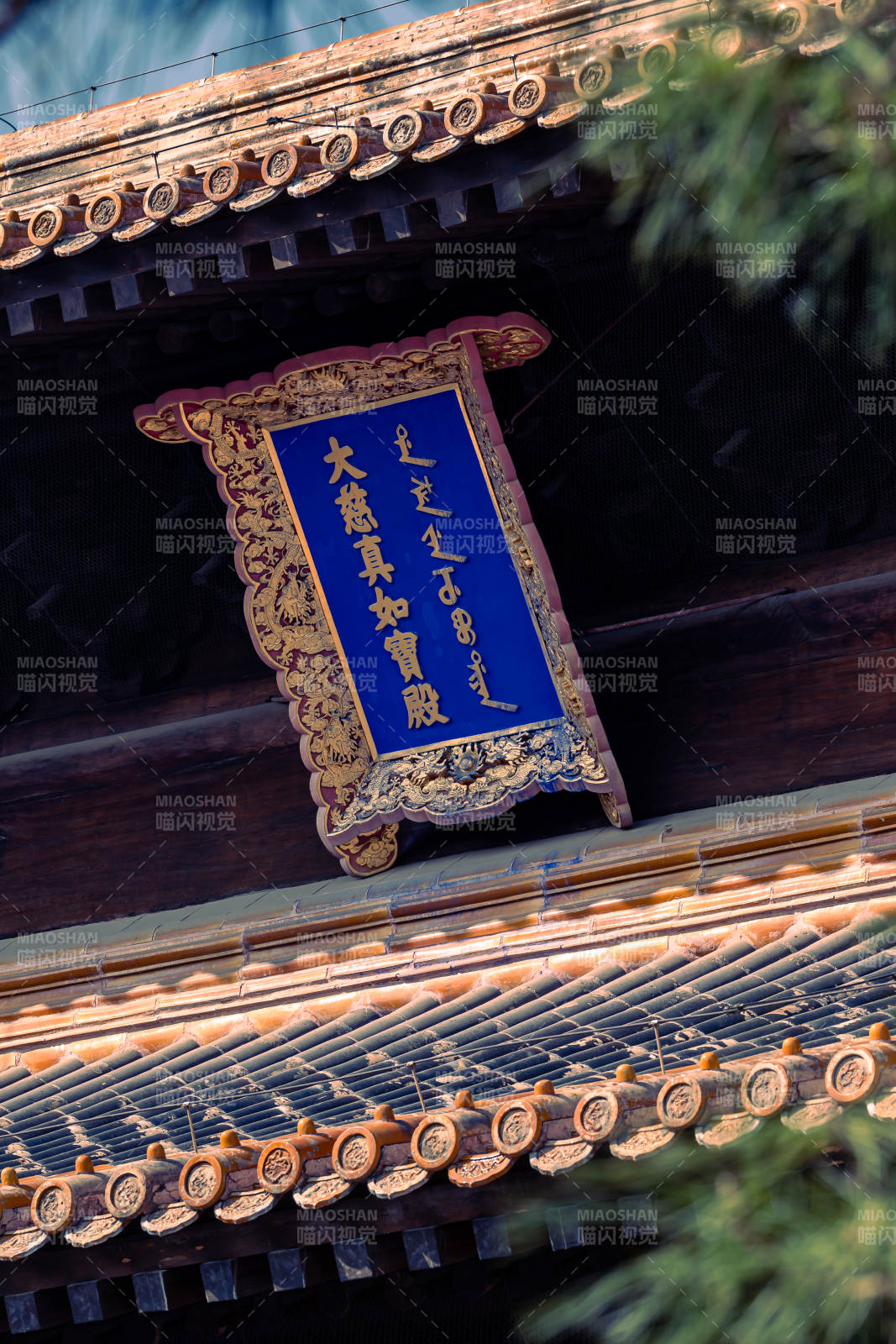 大慈真如宝殿图片