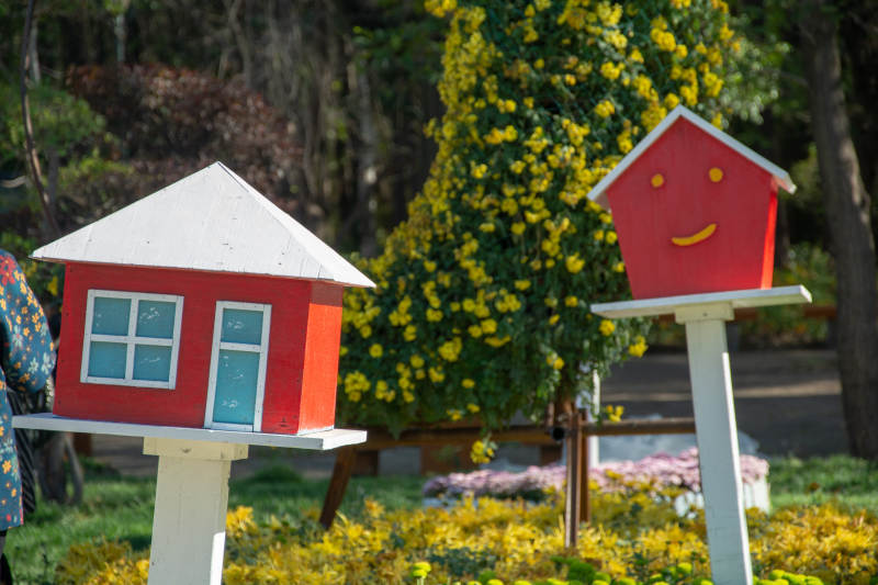 花园里的小红屋图片