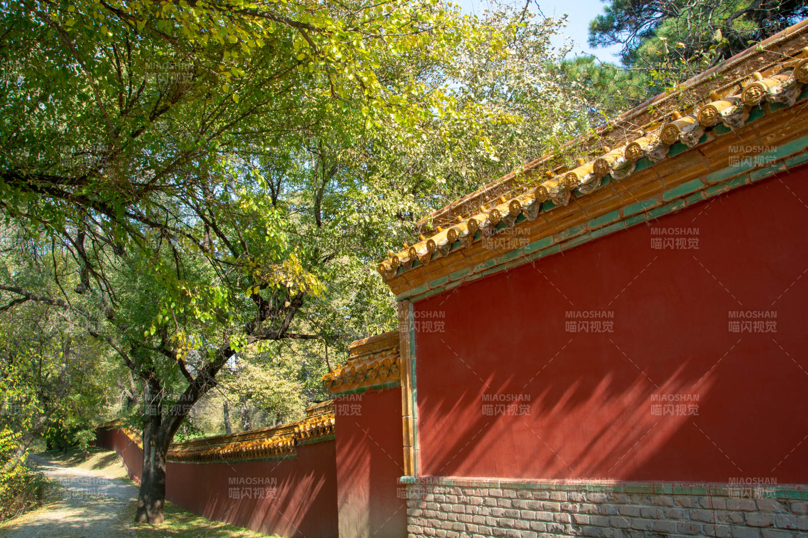 红墙绿树映古韵图片