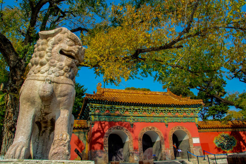 石狮守庙门图片