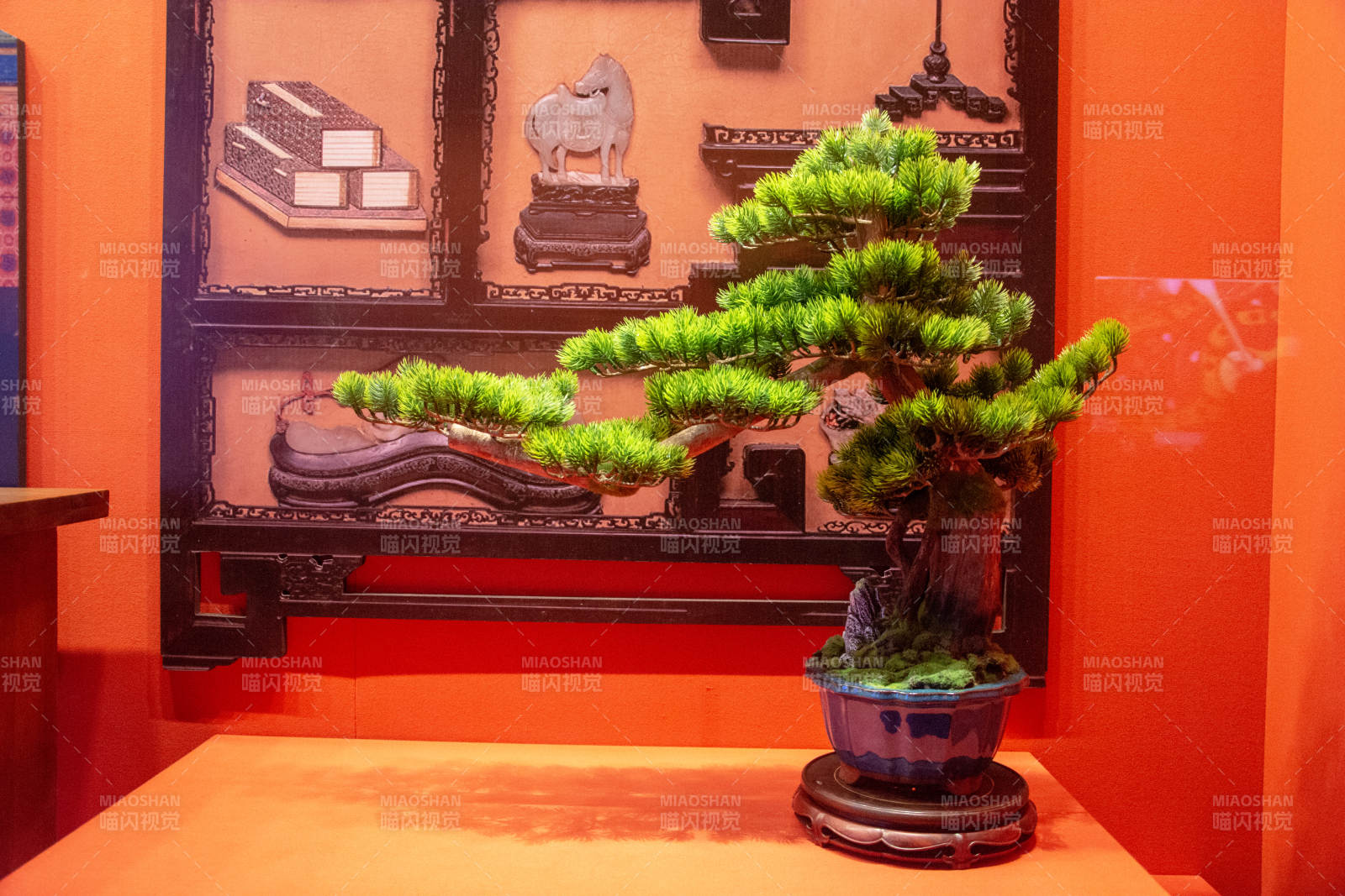 盆景艺术展示图片