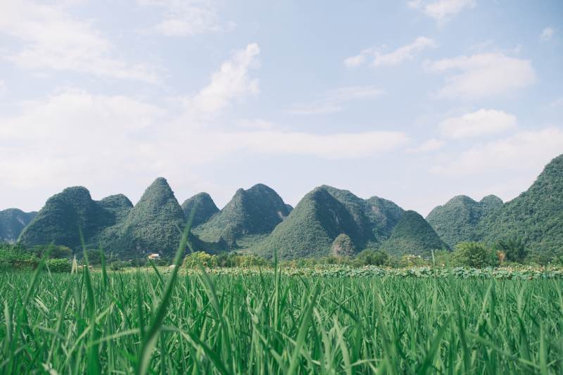 青山绿水田园风光图片