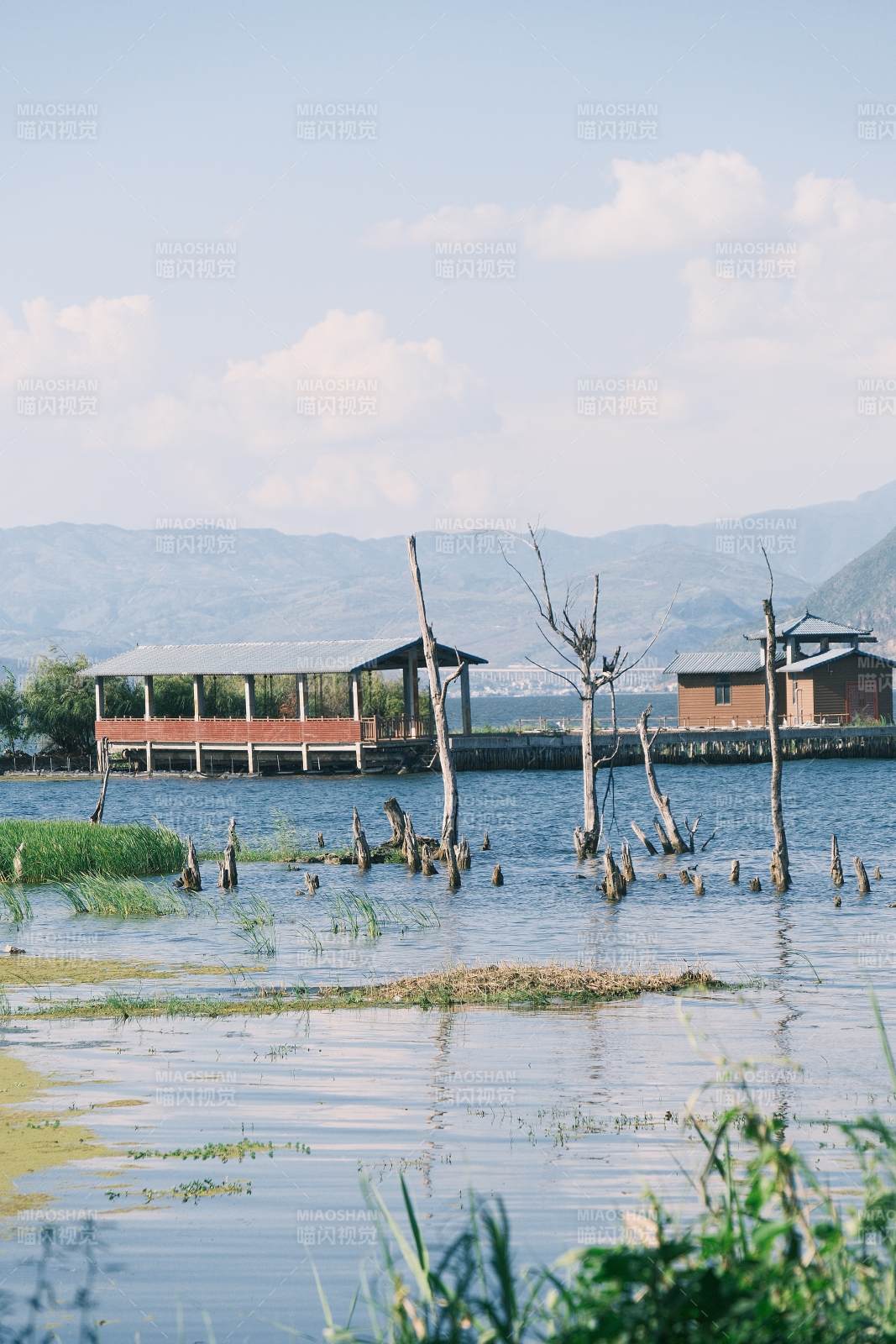 湖畔静谧风光图片