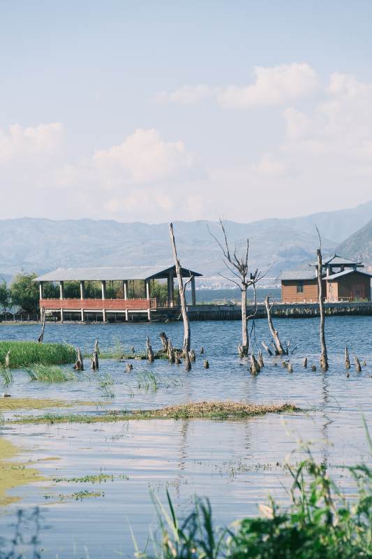 湖畔静谧风光图片