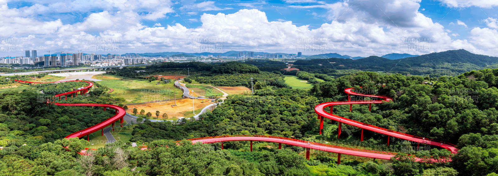 深圳光明虹桥公园红色步道穿林海图片