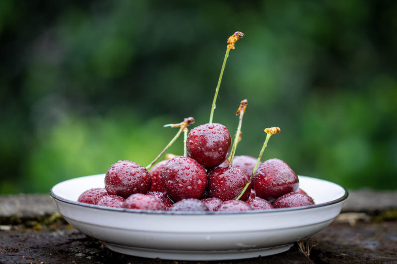 雨后樱桃车厘子鲜红欲滴图片