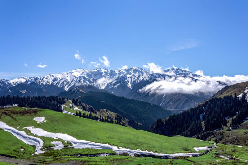 新疆伊利雪山绿谷风光图片