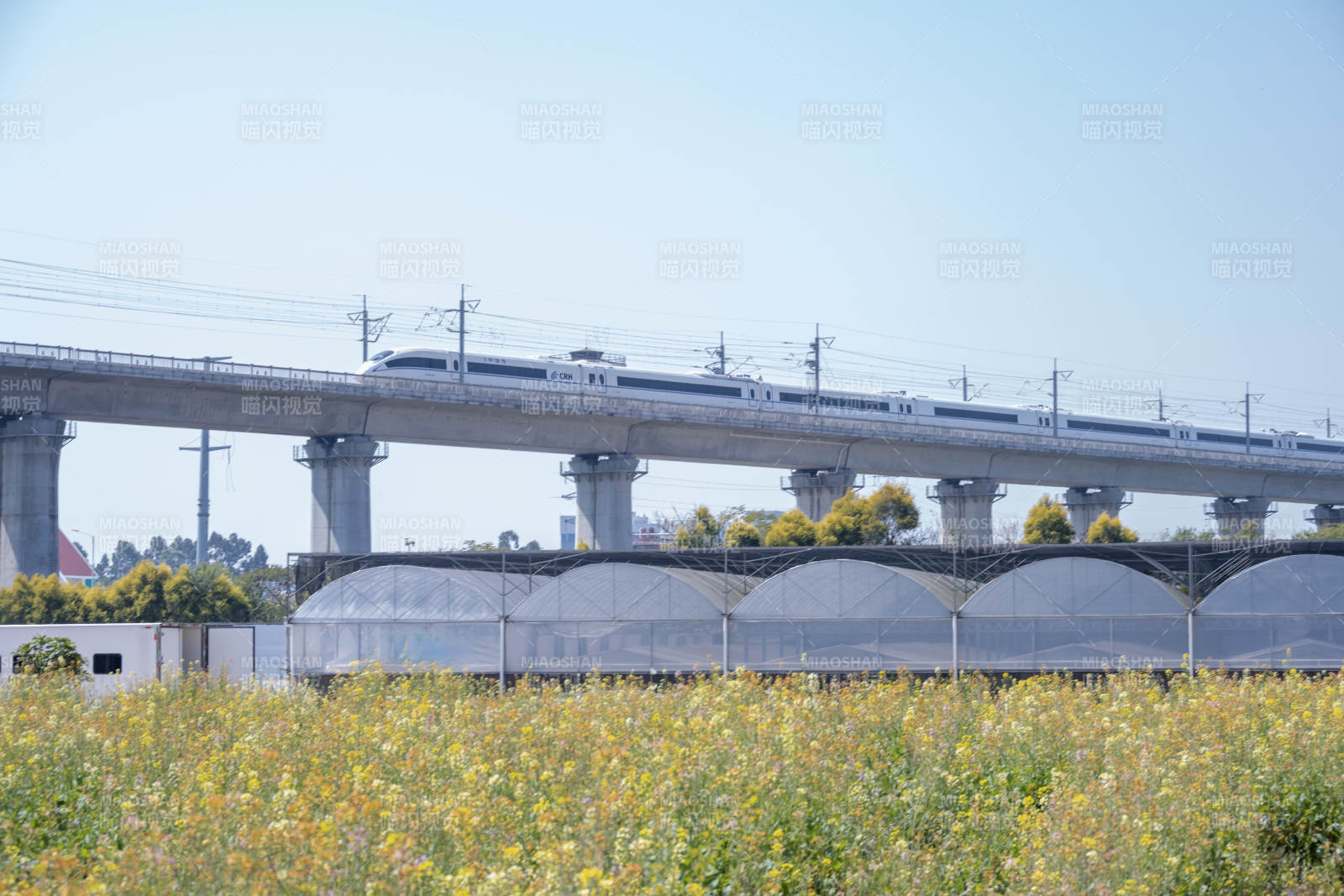 高铁飞驰过田野图片