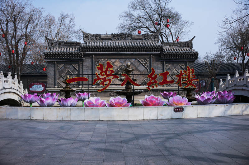 一梦入红楼图片