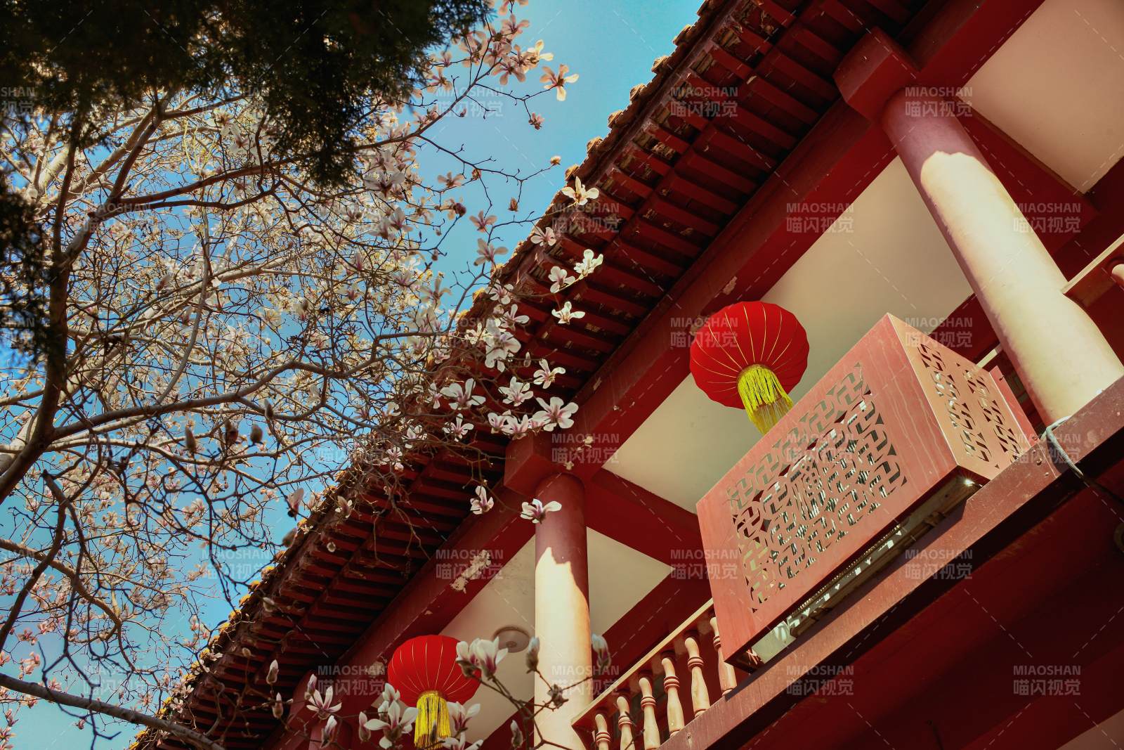 河北正定古城荣国府 春日古建筑赏花图片