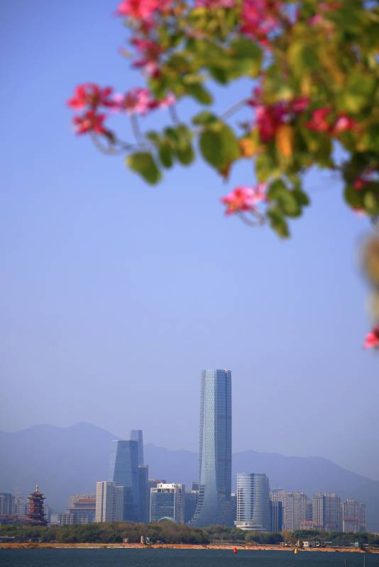 花影映城景图片