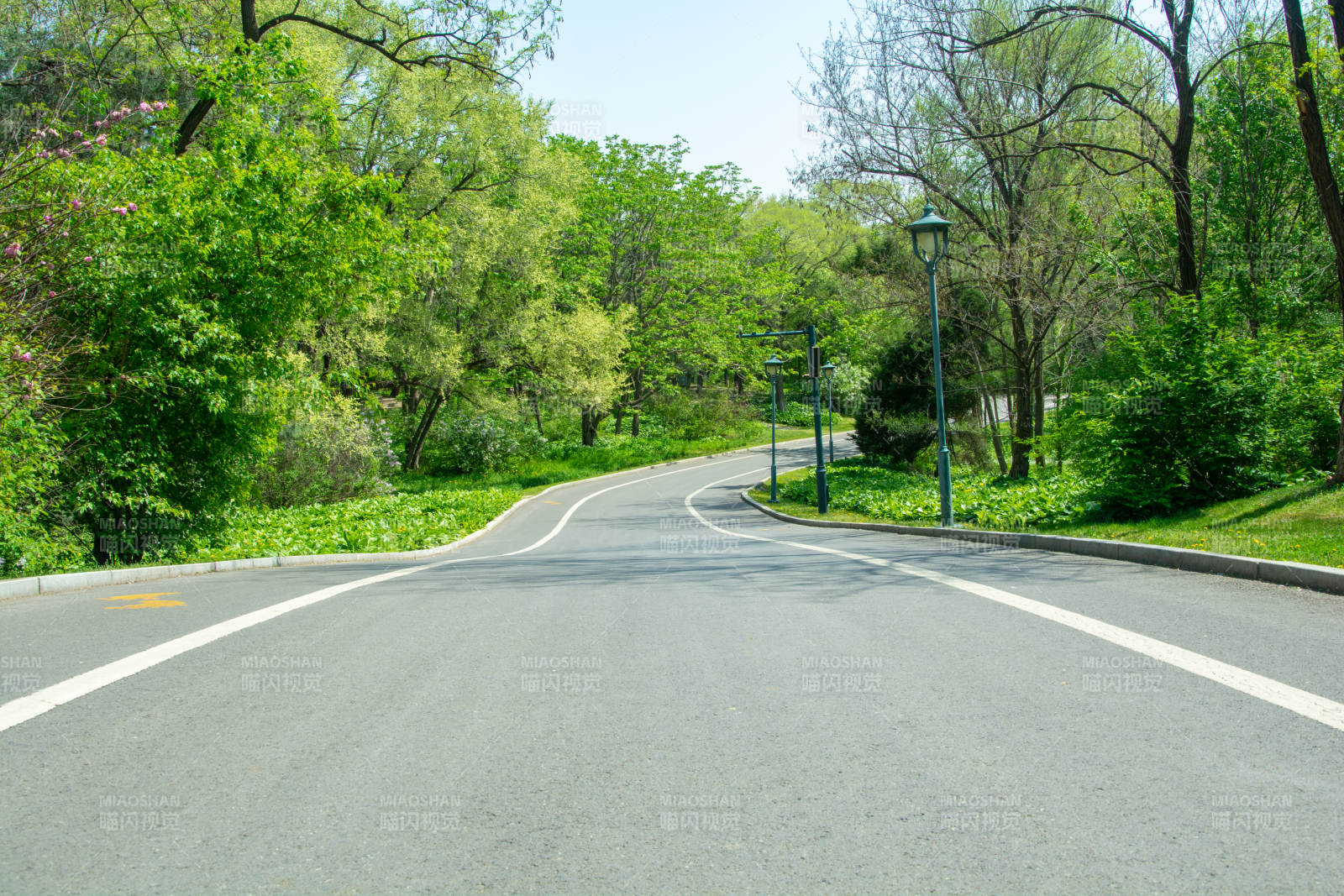 植物园绿树成荫的公园小径图片