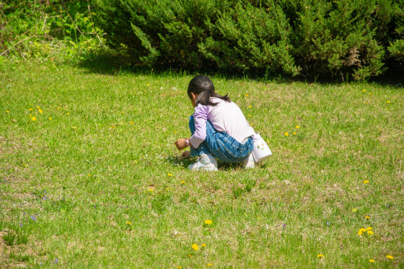 小女孩在草地上玩耍图片