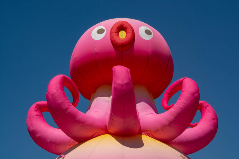 粉红章鱼气球图片