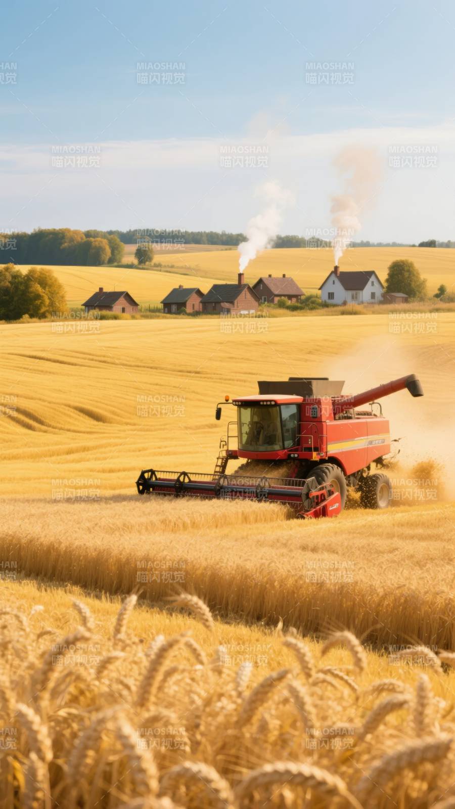 金秋麦田收割忙图片