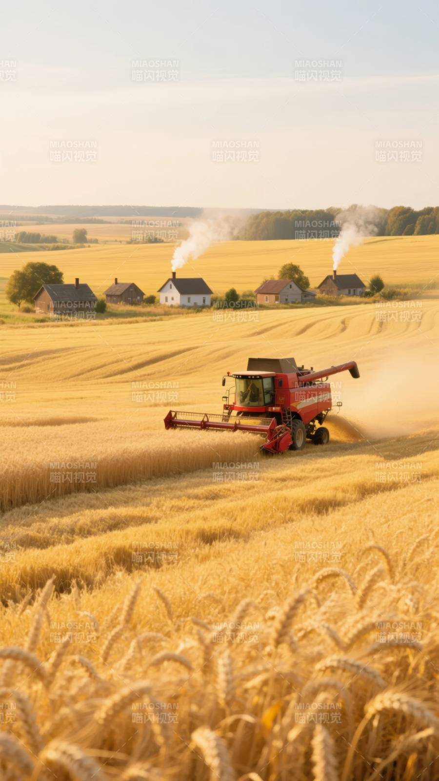 金秋麦收景象图片