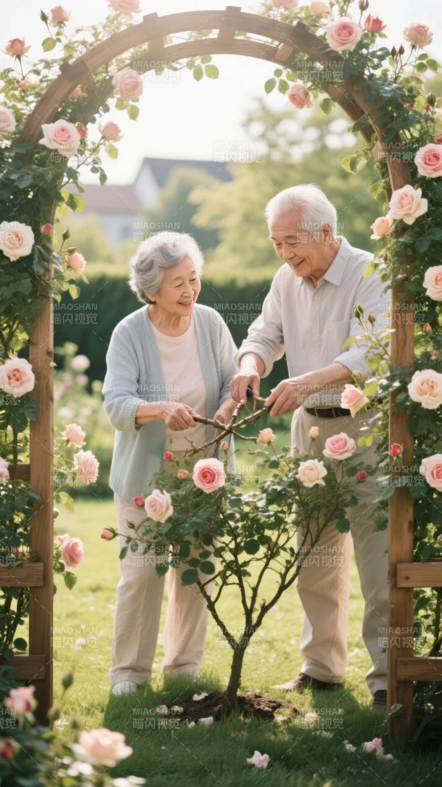 花园里的幸福时光图片