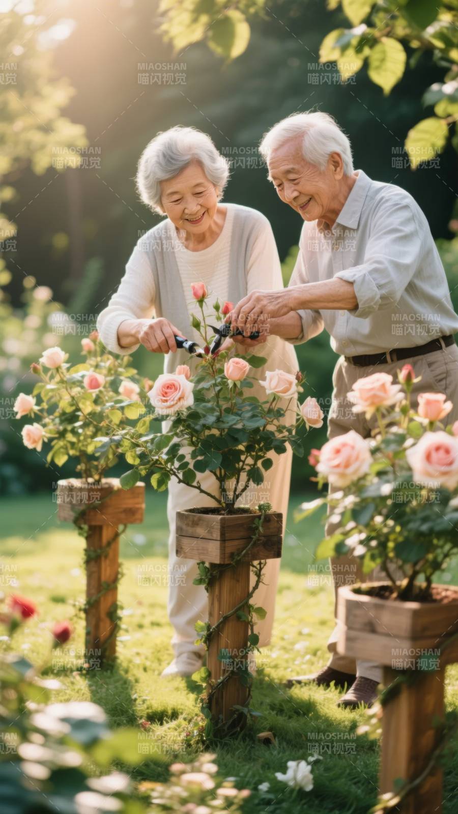夕阳下的园艺时光图片