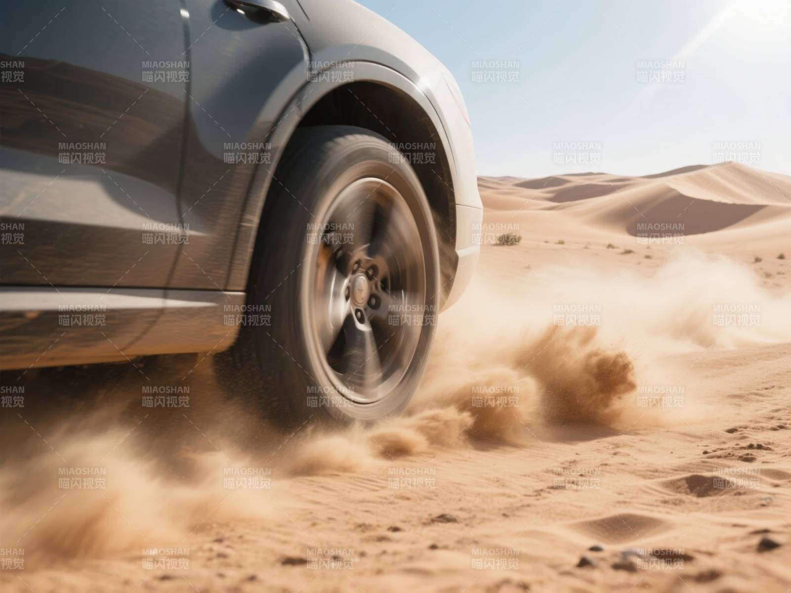 沙漠驰骋 沙尘飞扬图片