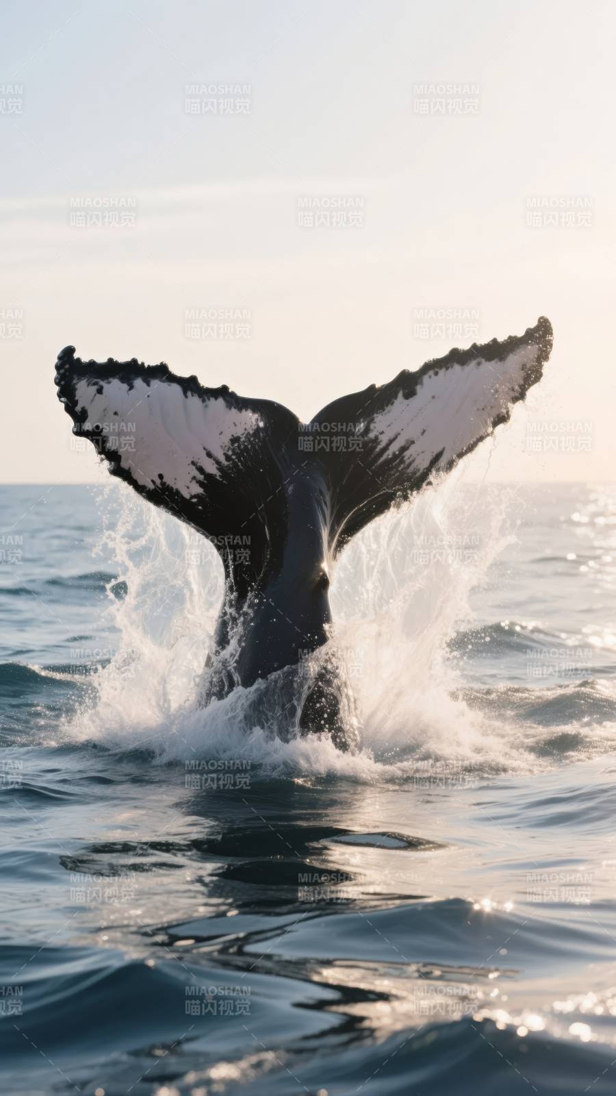 鲸尾跃海图片