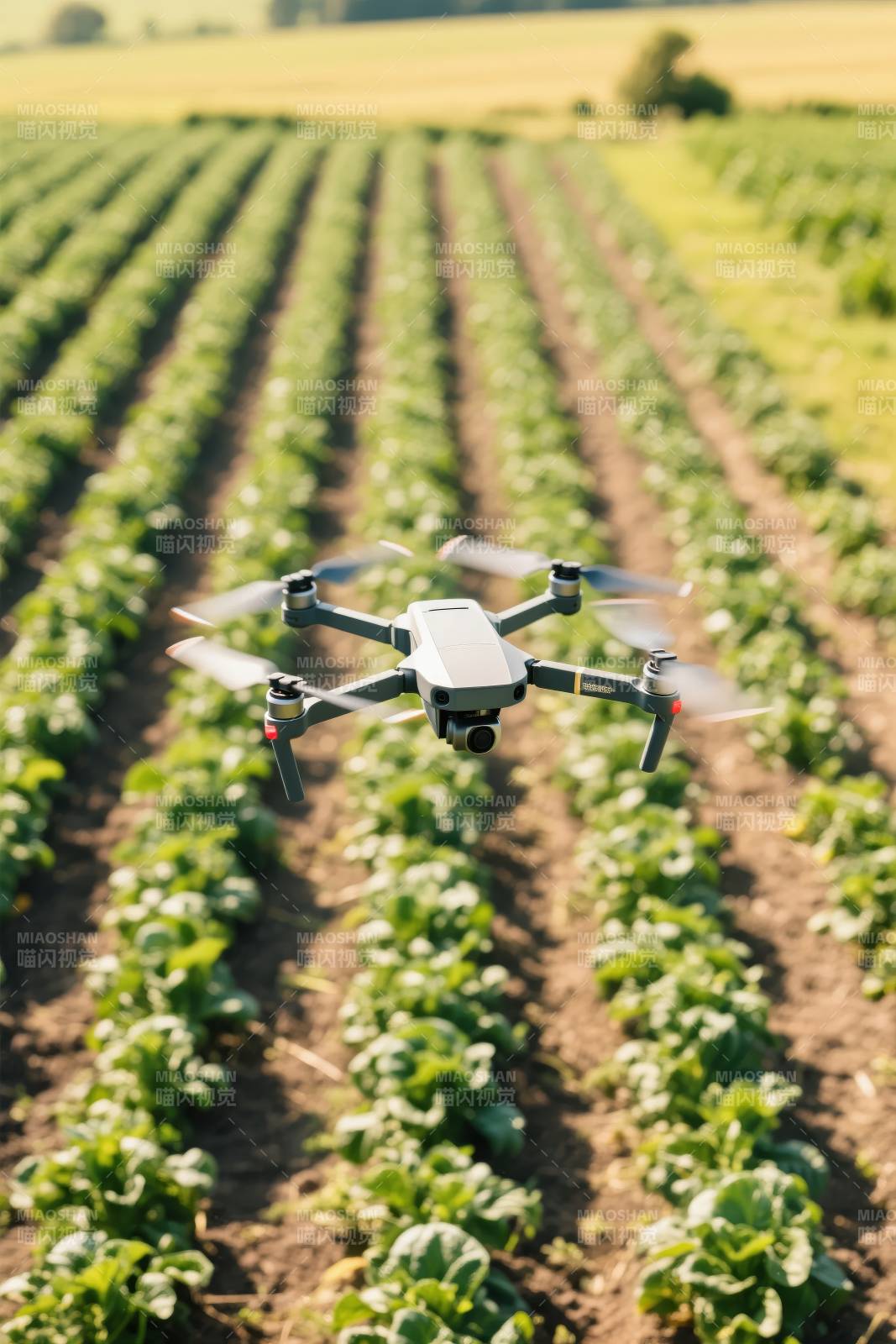 无人机巡田图片