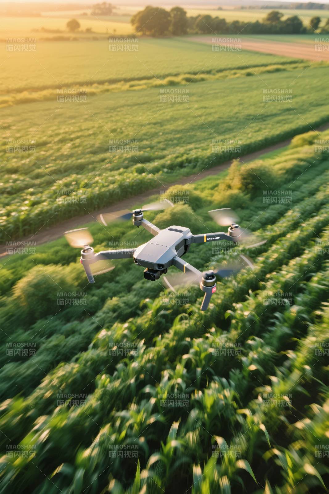 无人机巡田图片