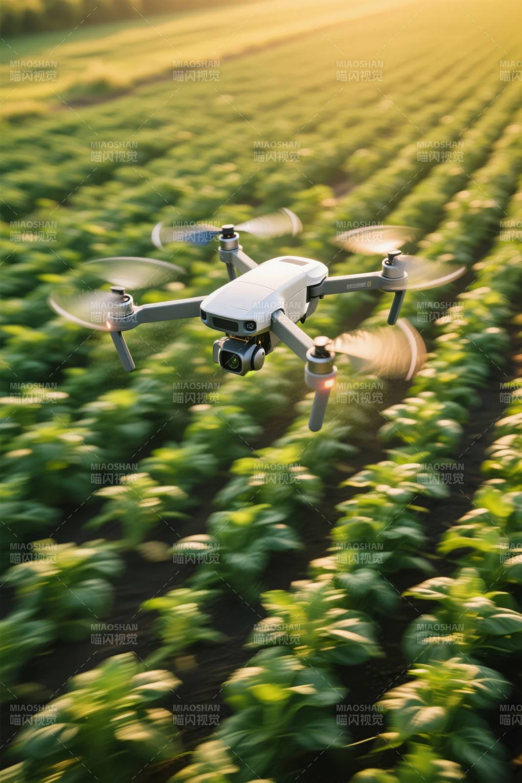无人机巡田图片