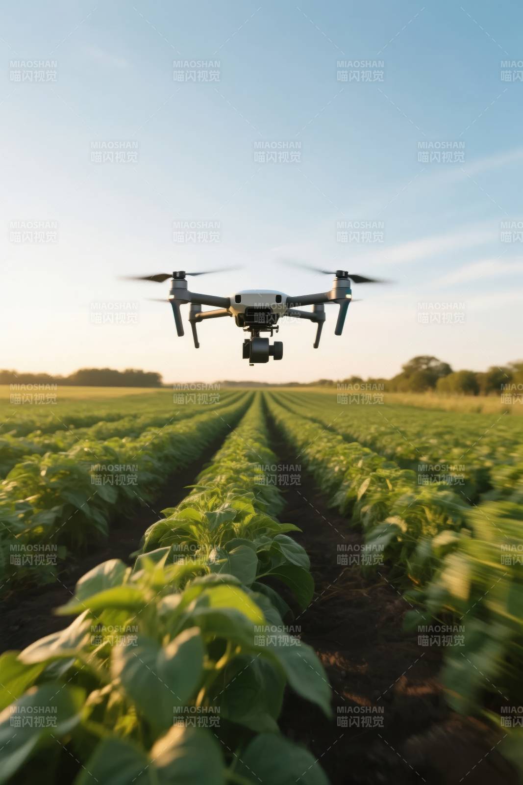 无人机巡田图片