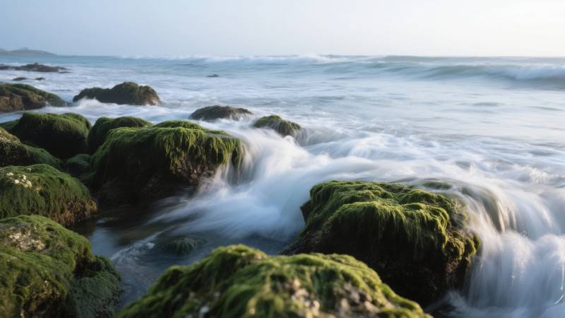 海浪拍打青苔石图片