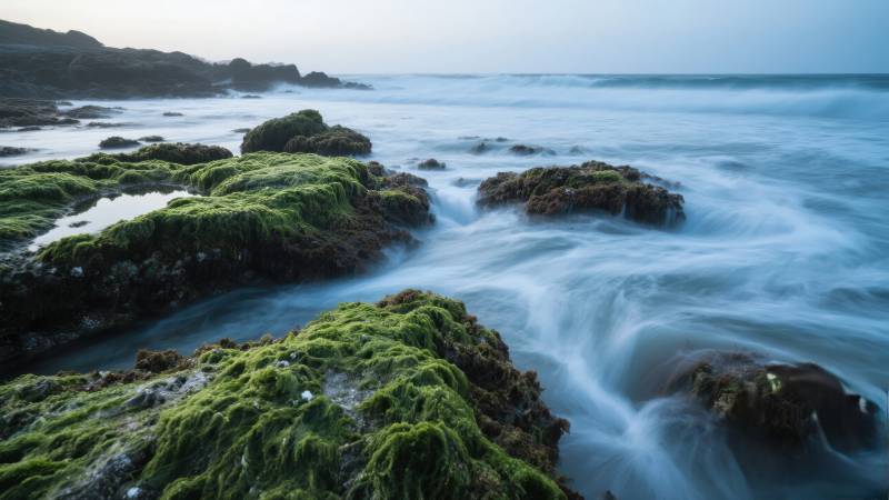 碧海青苔岩图片