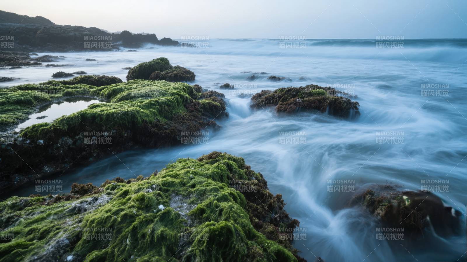 碧海青苔岩图片