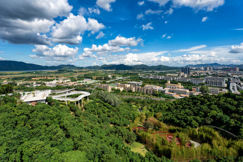 绿意盎然的城市风光图片