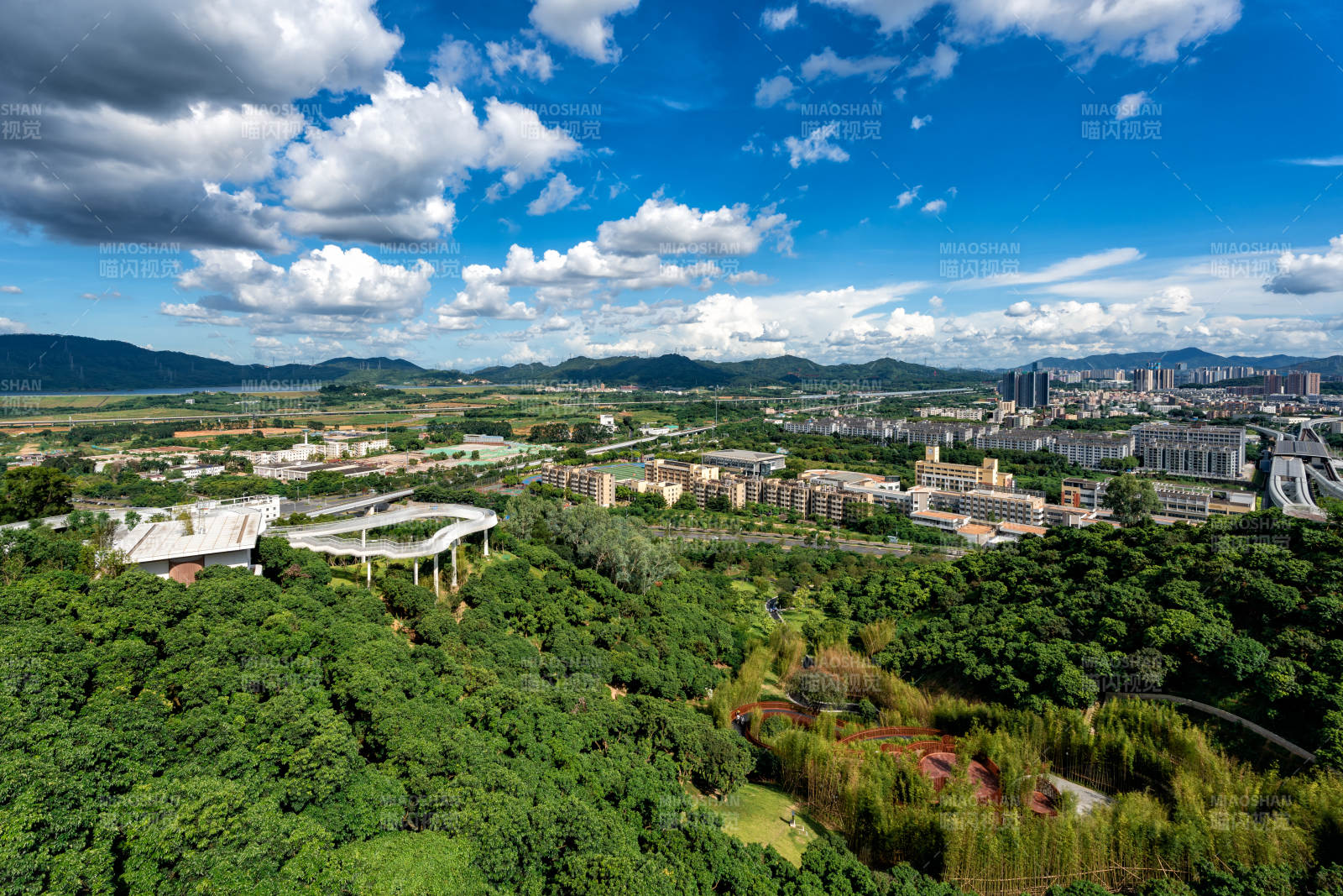 绿意盎然的城市风光图片