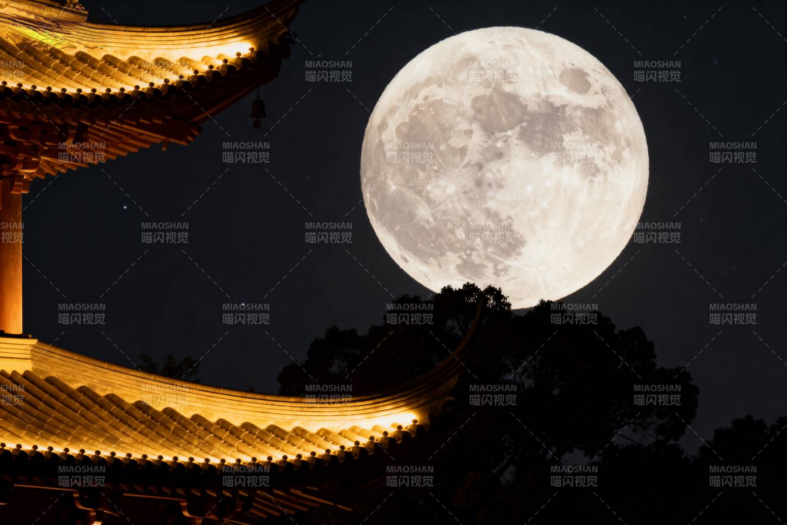 明月映古塔图片