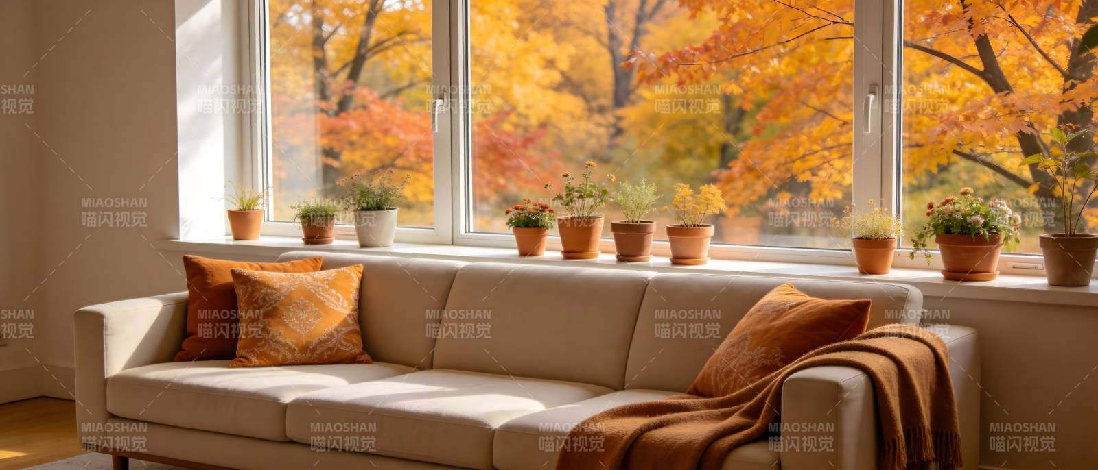 秋日窗边暖意融融图片