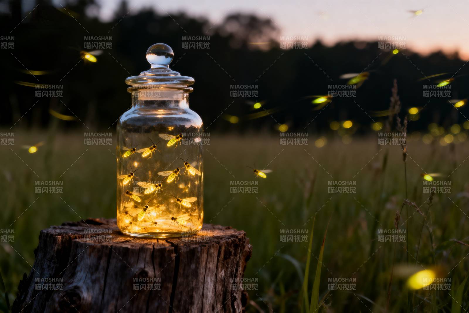 萤火虫的夜晚图片