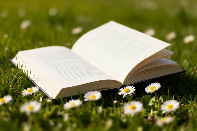 书页轻翻草花间图片