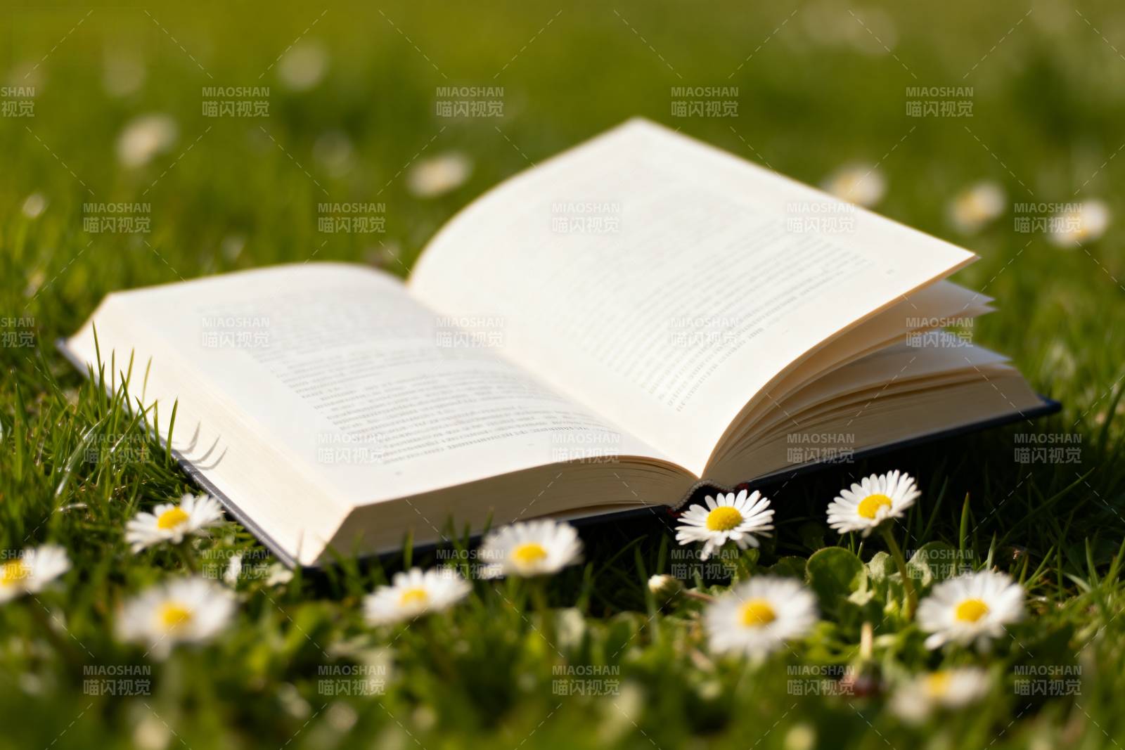 书页轻翻草花间图片