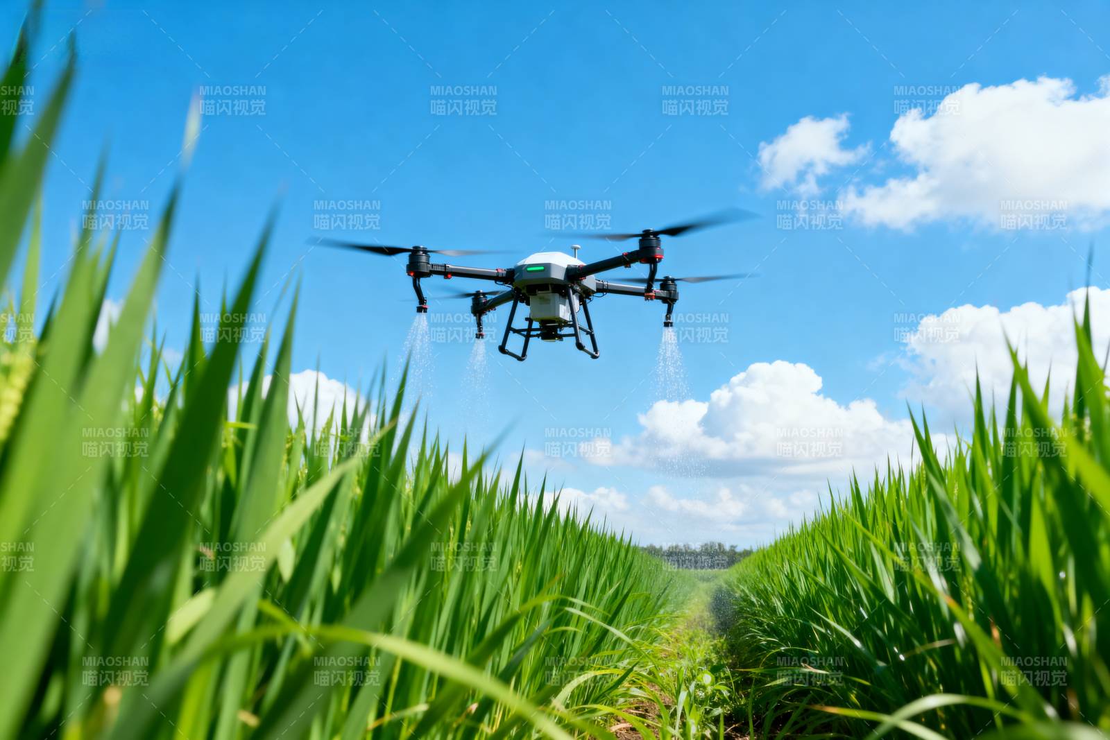 无人机农田作业图片