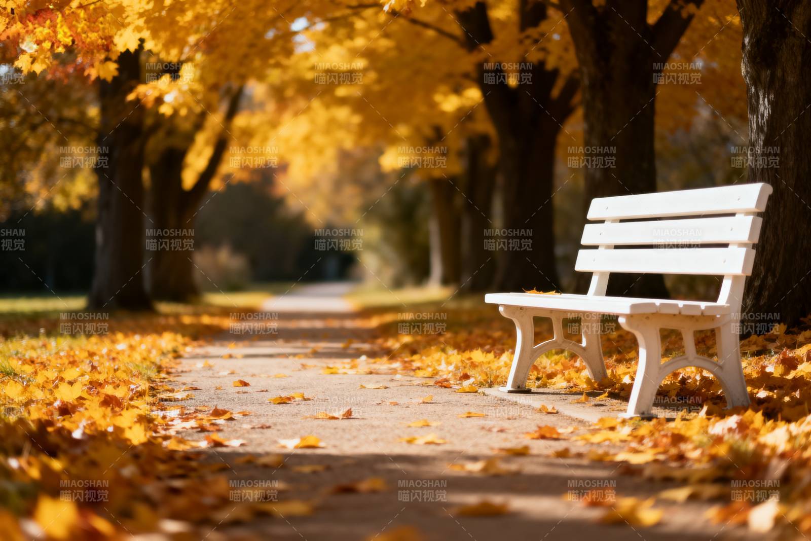 秋日公园长椅图片