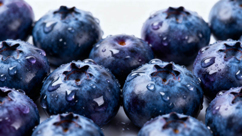 晶莹蓝莓特写图片