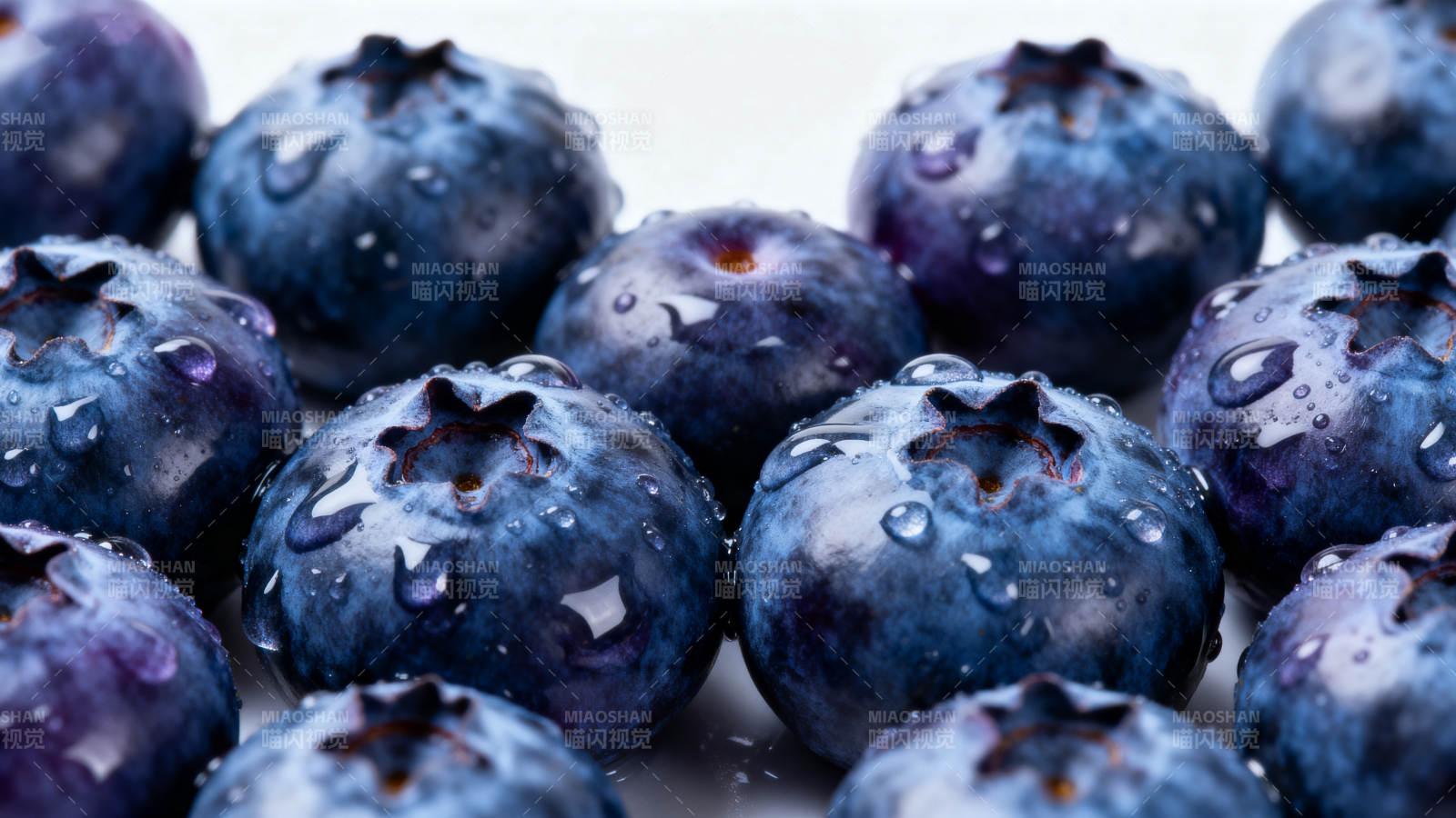 晶莹蓝莓特写图片